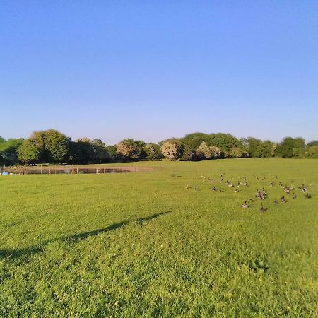 Castletownmoor Clinic & Permaculture Farm Hotel เคลส์ ภายนอก รูปภาพ