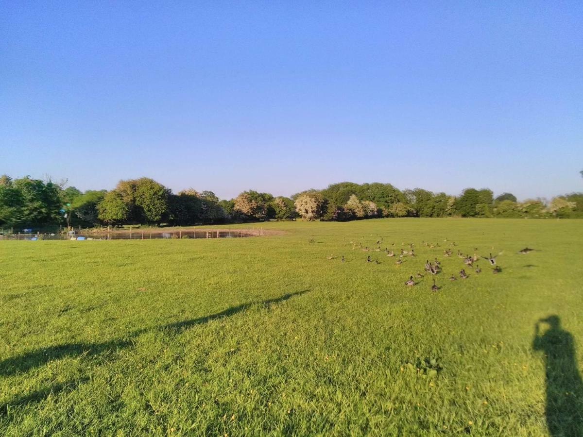 Castletownmoor Clinic & Permaculture Farm Hotel เคลส์ ภายนอก รูปภาพ