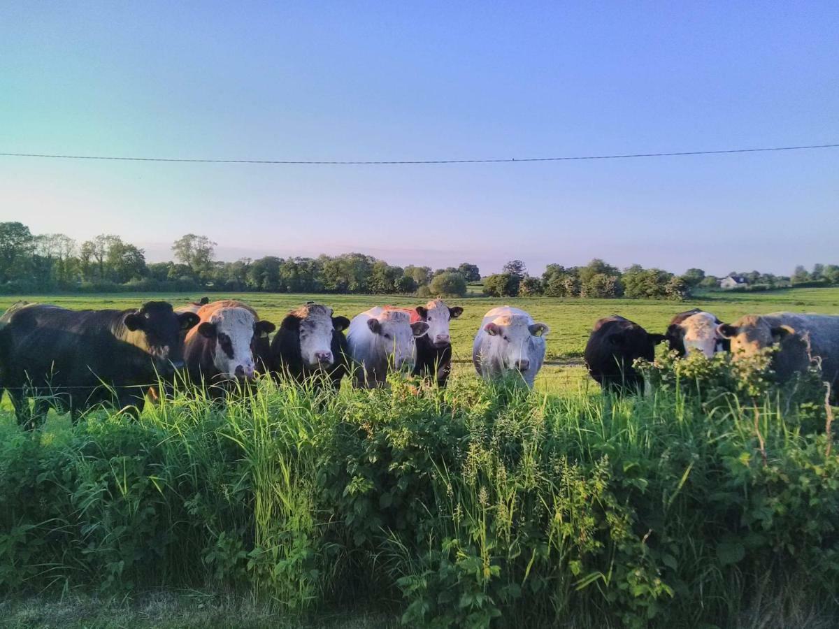 Castletownmoor Clinic & Permaculture Farm Hotel เคลส์ ภายนอก รูปภาพ