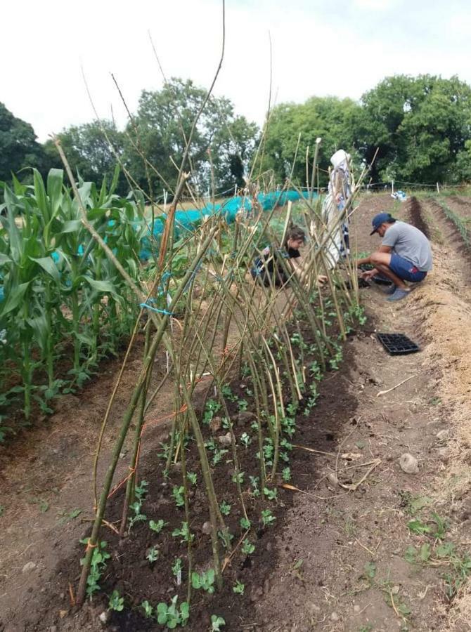 Castletownmoor Clinic & Permaculture Farm Hotel เคลส์ ภายนอก รูปภาพ