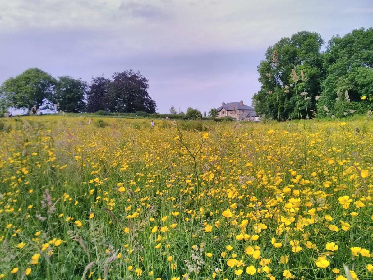 Castletownmoor Clinic & Permaculture Farm Hotel เคลส์ ภายนอก รูปภาพ