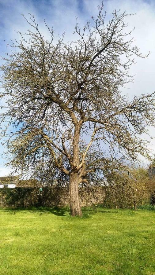 Castletownmoor Clinic & Permaculture Farm Hotel เคลส์ ภายนอก รูปภาพ